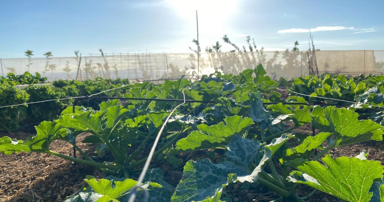 Finca Gaia La Segunda 吉亚德索拉 外观 照片