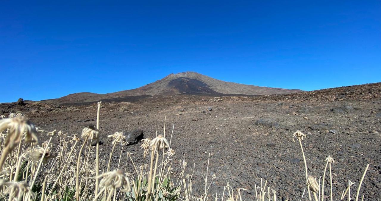 Finca Gaia La Segunda 吉亚德索拉 外观 照片