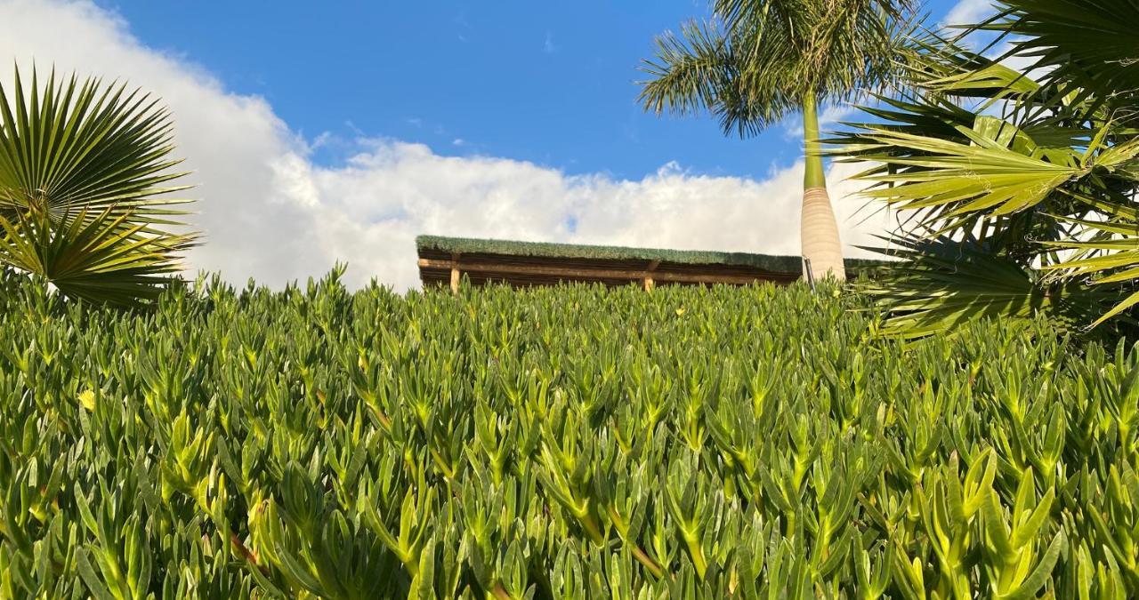 Finca Gaia La Segunda 吉亚德索拉 外观 照片