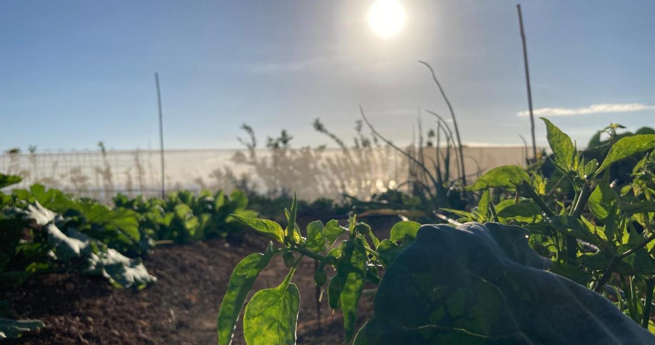 Finca Gaia La Segunda 吉亚德索拉 外观 照片